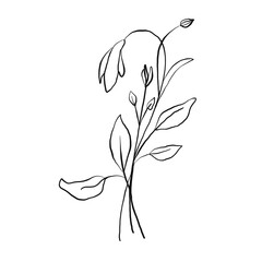 Flower artline colorful images illustration images icons