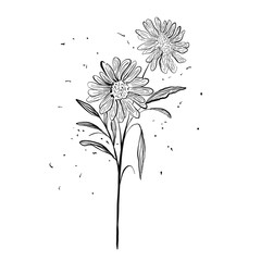 Flower artline colorful images illustration images icons