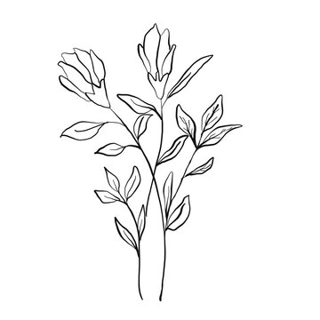 Flower artline colorful images illustration images icons