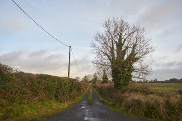 Fototapeta na wymiar droga, Irlandia 
