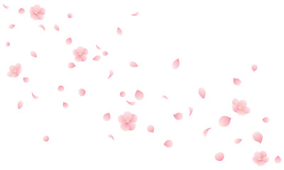 Fototapeta na wymiar 桜の花と花びらが散る桜吹雪のイラスト