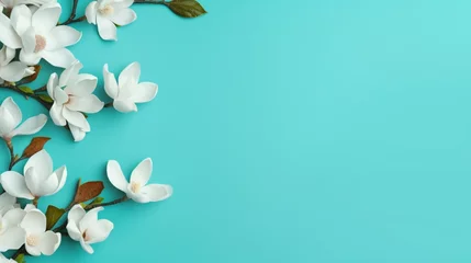 Fototapeten Beautiful magnolia spring blossom. Flowering branch of magnolia at turquoise background. Springtime concept. Floral border. Banner or template with copy space © Azadar