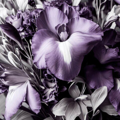 Black and white iris bouquet, purple bouquet, beautiful, flowers