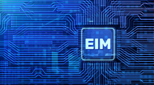 EIM Enterprise Information management business and technology concept illustration.