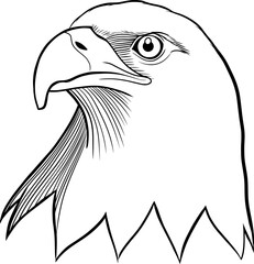 Bald eagle head vector outline illustration engraving style