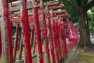 愛知 真清田神社 稲荷社の連なる鳥居
