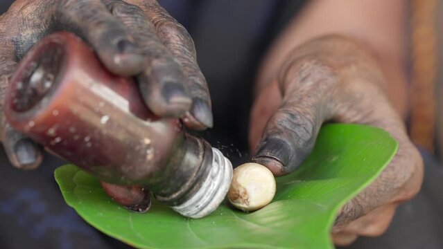 Woman mixing calcium hydrixide or lime in leaf with areca or betel nut, traditional stimulant