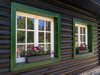Old wooden wall with two white windows, decorated with flowers