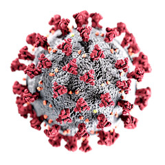 coronavirus Covid-19 isolated on transparent background.
