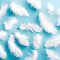 Fototapeta na wymiar Fluffy white feathers on a blue background. 