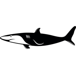 illustration of a shark