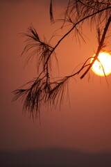 Sunset at pattaya Thailand. 