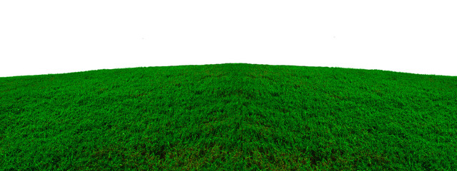 Natural green grass field isolated on white background. 3d rendering, Grass texture in the hill. PNG