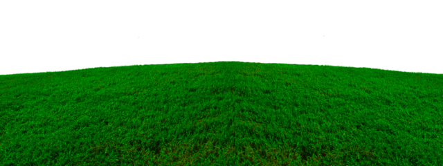 Natural green grass field isolated on white background. 3d rendering, Grass texture in the hill. PNG