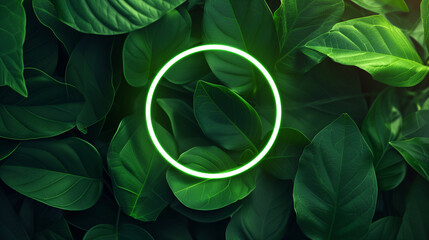 empty green neon circle - frame on the background of forest leaves