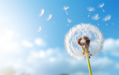 Fototapeta premium dandelion seed head against a blue sky, AI Generative.