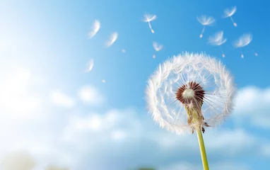  dandelion seed head against a blue sky, AI Generative. © Miry Haval