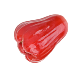 Rose apple or chomphu thai fruit on transparent png.