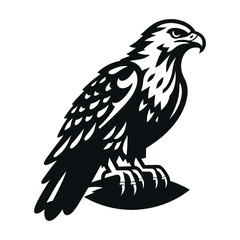 Fototapeta premium Wild animal bird of prey, raptor bird vector design illustration, hawk eagle falcon logo flat design template isolated on white background