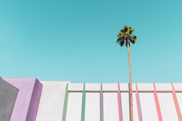 Building with colorful stripes and a palm tree in Palm Springs - Powered by Adobe