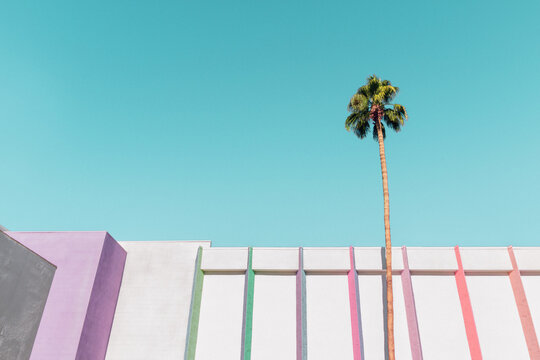 Building with colorful stripes and a palm tree in Palm Springs