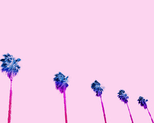 Row of palm trees with a pink sky