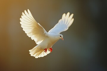 a white dove flying through cloudy blue sky.
