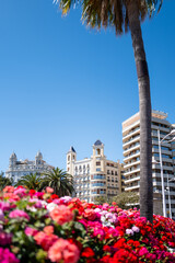 Valencia, Spain - May 12 2023 : famous Latin Mediterranean architecture, cuban style building in the middle with blue sunny sky, bright red flowers and palm trees. Great vacation photo