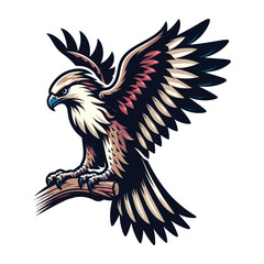 Wild animal bird of prey, raptor bird vector design illustration, hawk eagle falcon logo flat design template isolated on white background