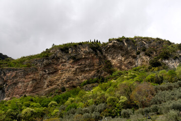 Wet granite cliffs with vegetation