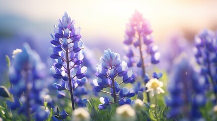 Close-up view capturing the delicate beauty of blooming bluebonnets in a field of spring wildflowers. Generative AI