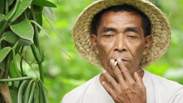 Portrait of vanilla farmer in straw hat smoking cigarette on plantation, rural
