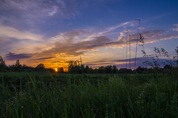 sunset over the field