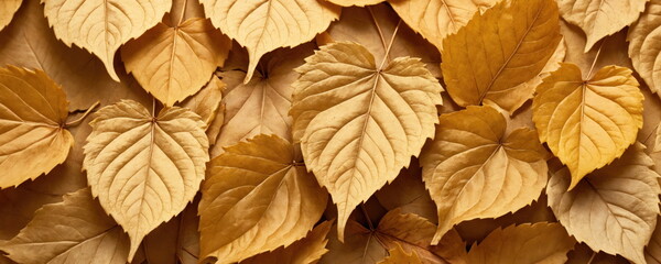 Autumn Leaves Collage Representing Seasonal Change.Close-up of a densely packed array of autumn leaves in various shades of yellow, orange, and red, highlighting the rich colors of the fall season.