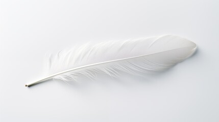 A single white feather quill pen placed on a clean white surface