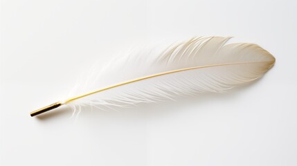 A single white feather quill pen placed on a clean white surface