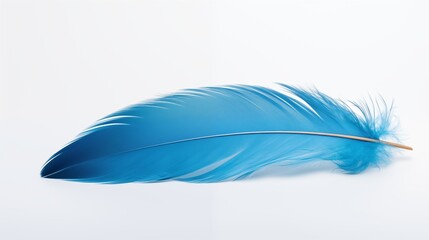 A vibrant blue feather isolated against a clean white backdrop