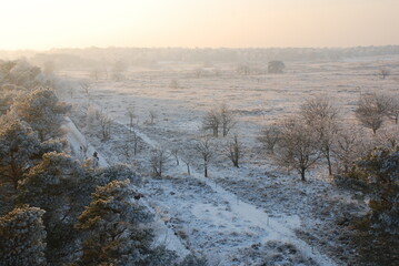 Fototapeta na wymiar Winterlandscape in the Kalmthoutse heide, Belgium