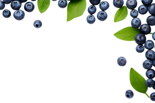 blueberry frame isolated on transparent background