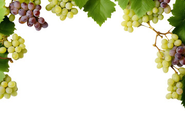 grape frame isolated on transparent background