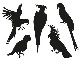 Parrot silhouettes collection isolated on white background.Vector silhouettes of Amazon jungle parrots.
