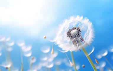 Foto op Plexiglas dandelion seed head against a blue sky, AI Generative. © Miry Haval