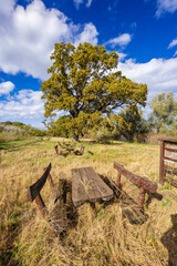 Gemenc, unique forest between Szekszard and Baja, Dunaj-Drava National Park, Hungary