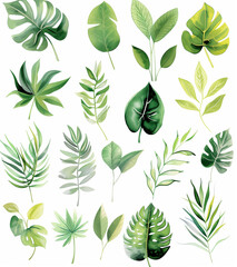 Collection of green watercolor foliage plants clipart on white background. Botanical spring summer leaves illustration. Suitable for wedding invitations, greeting cards, frames and bouquets.