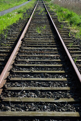 Fototapeta premium railroad tracks in the countryside