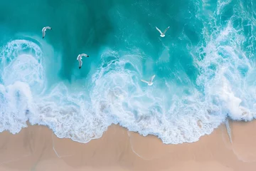 Gordijnen Seagulls fly over the sandy beach © cong