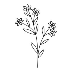 flower in vector line style