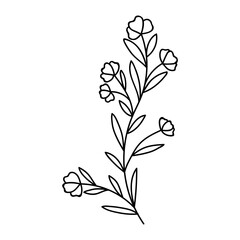 flower in vector line style