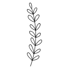 leaves in vector line style