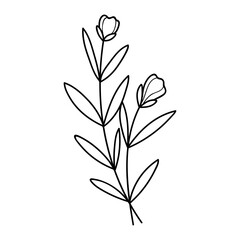 flower in vector line style